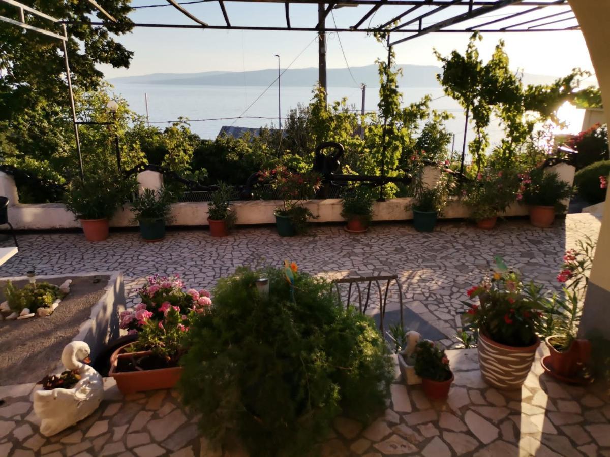 Apartmani Sidro Senj Senj  Exterior photo