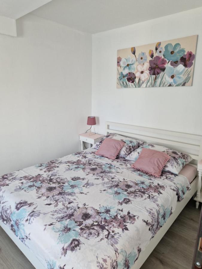 Apartmani Sidro Senj Senj  Exterior photo